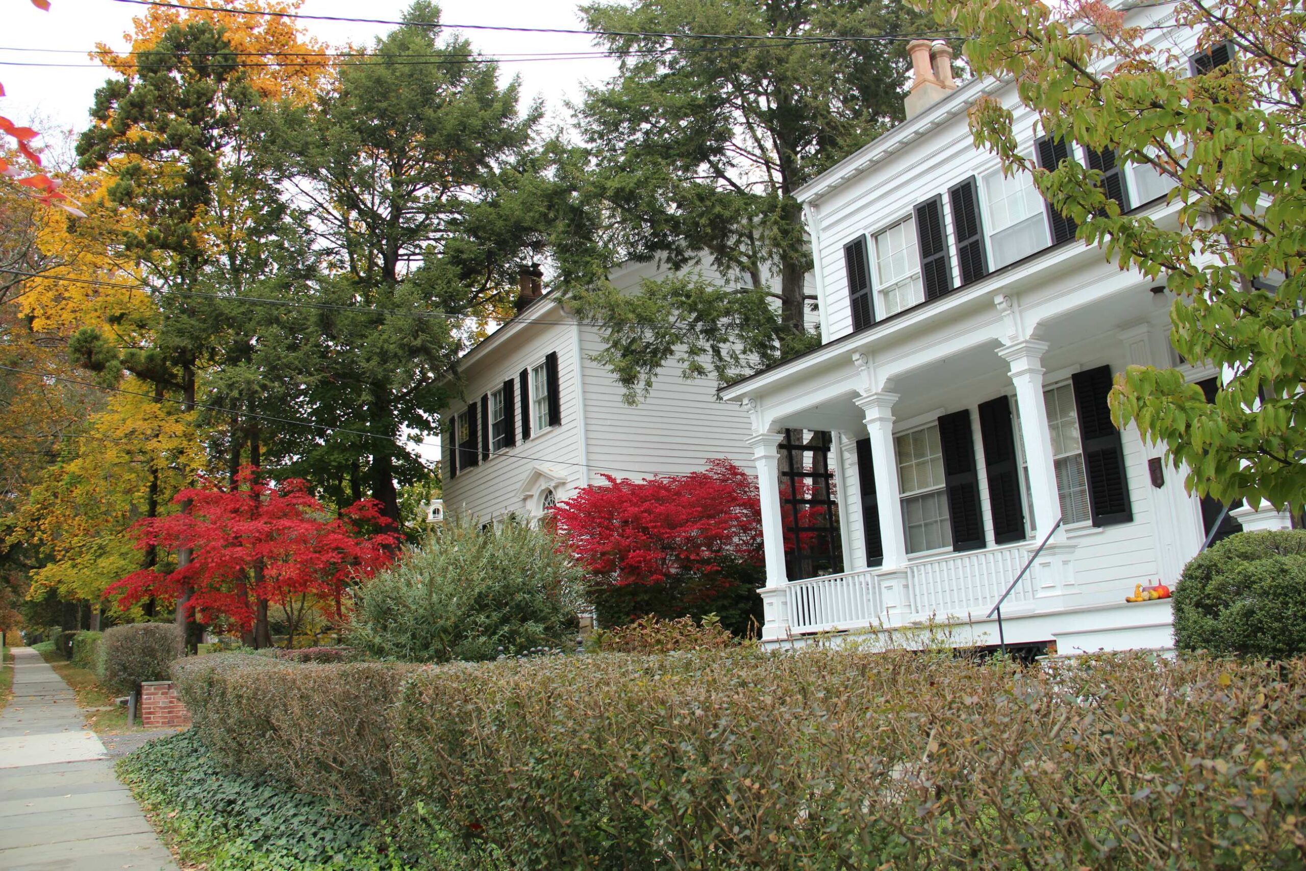 Brian Smith Premier Realty (3)